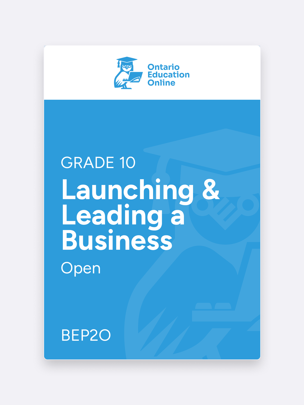 BEP2O Grade 10 Open Launching & Leading a Business Online course — Ontario Education Online